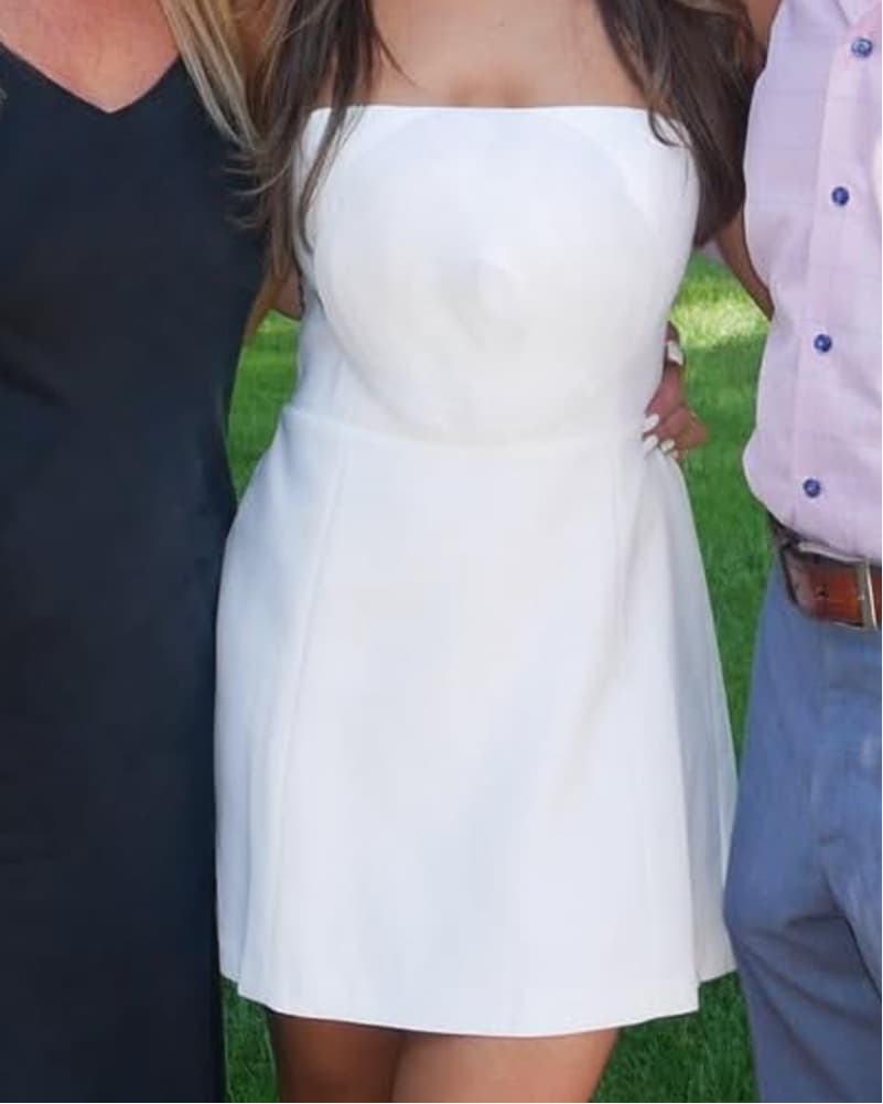 Amanda Uprichard Rose Dress - Image 2
