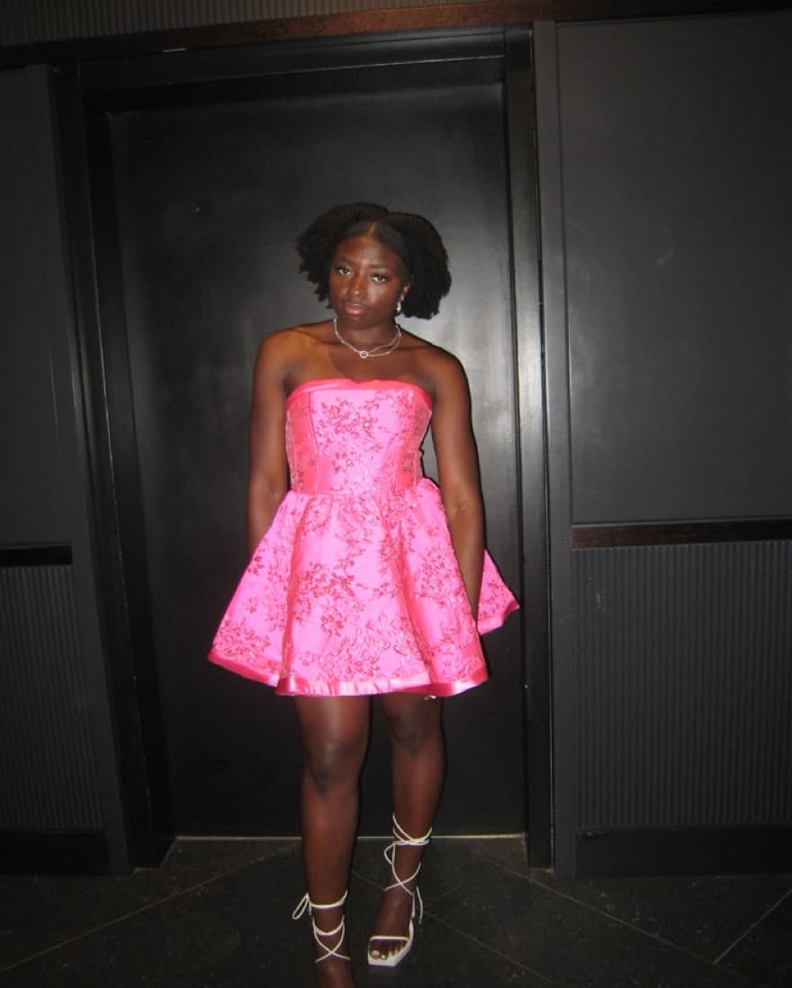 Akira Pretty In Pink Brocade dress  - Image 1