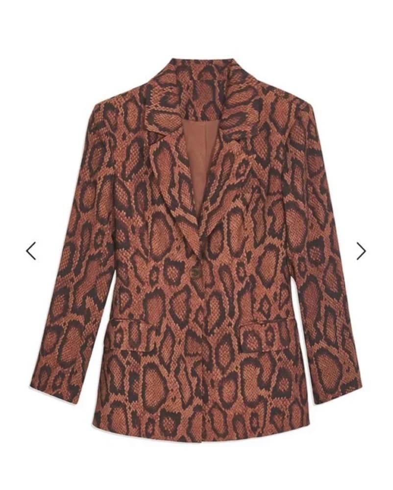Danielle Bernstein Brown Snake Print Set - Image 4