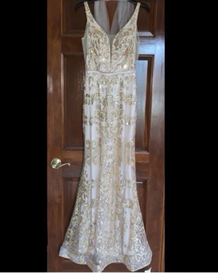 Cinderella Divine Dress In Rose Gold - Image 2
