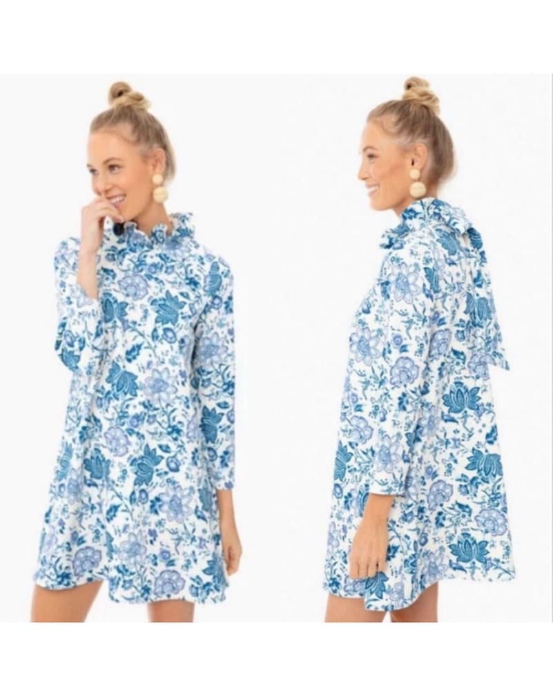 Blue and White Tuckernuck Dress - Image 1