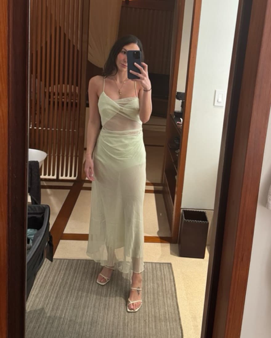 THE SEI DIAPHANOUS DRESS CELADON - Image 5