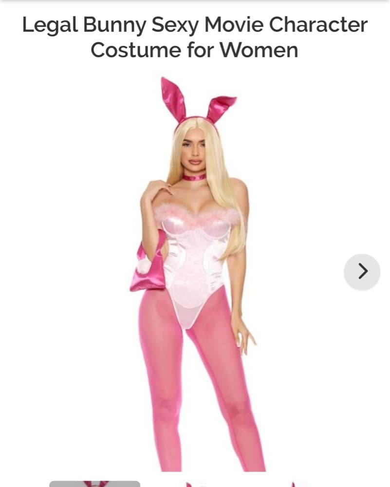 Legally Blonde Pink Bunny Costume - Image 3