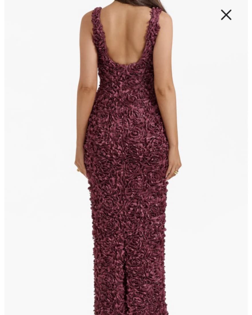 Carena Flower Appliqué Gown House Of CB - Image 3