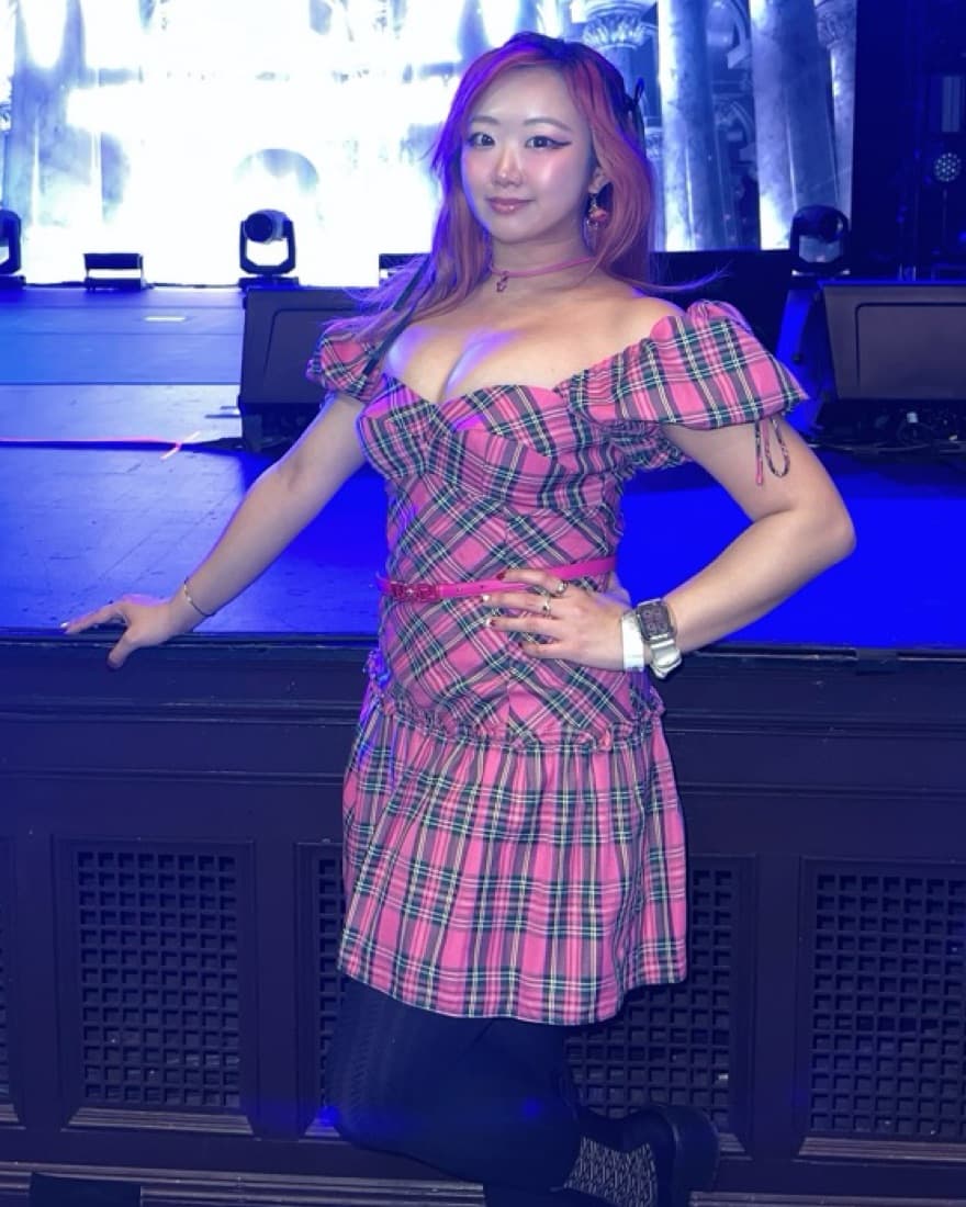 Amanda Uprichard Pink Tartan Dress  - Image 4