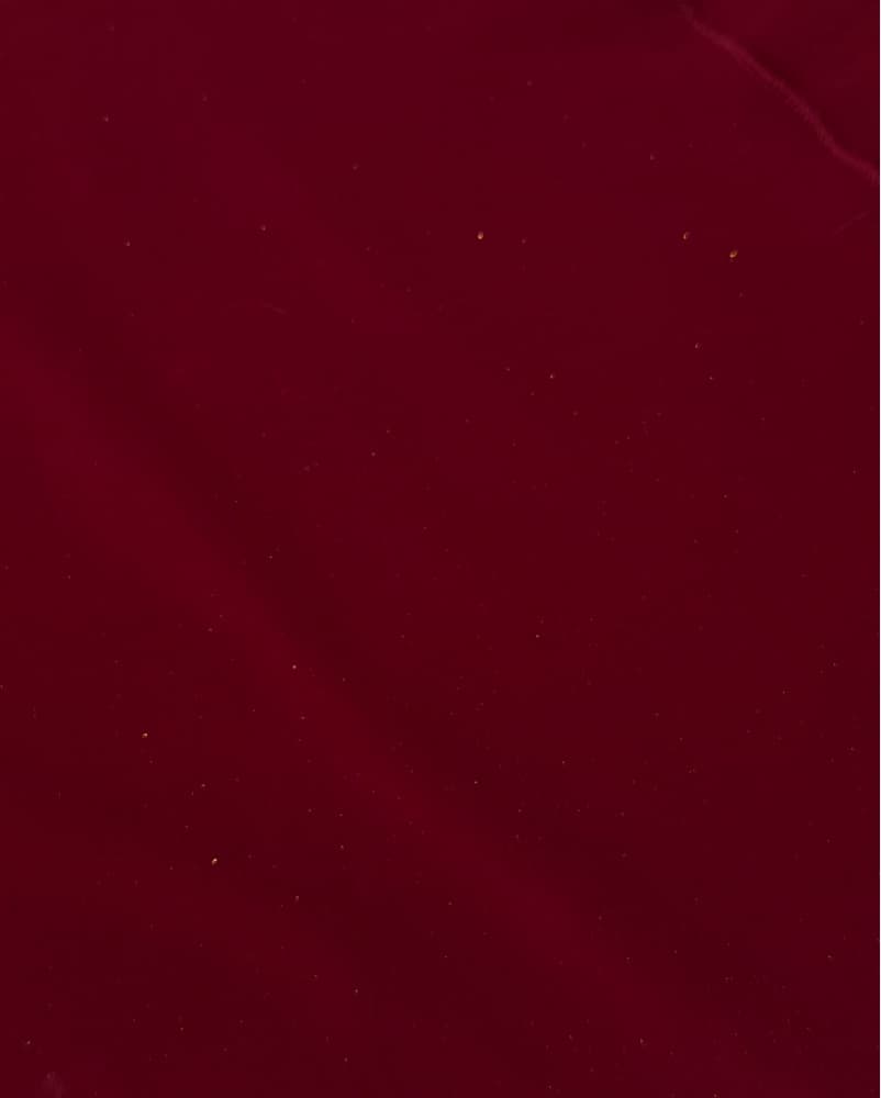 Vintage Sparkle Burgundy Dress  - Image 3