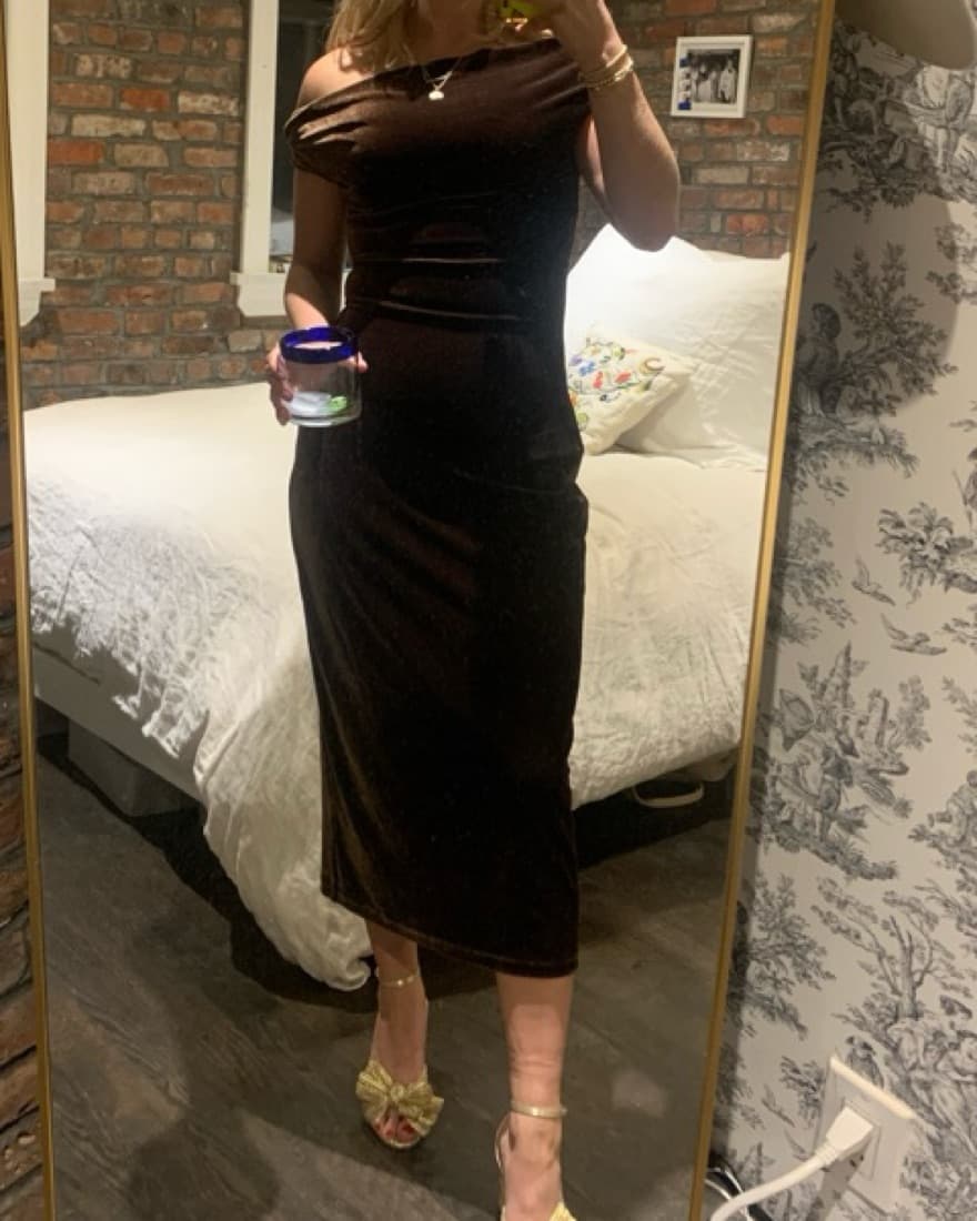 Reformation Brown Velvet One Shoulder - Image 1