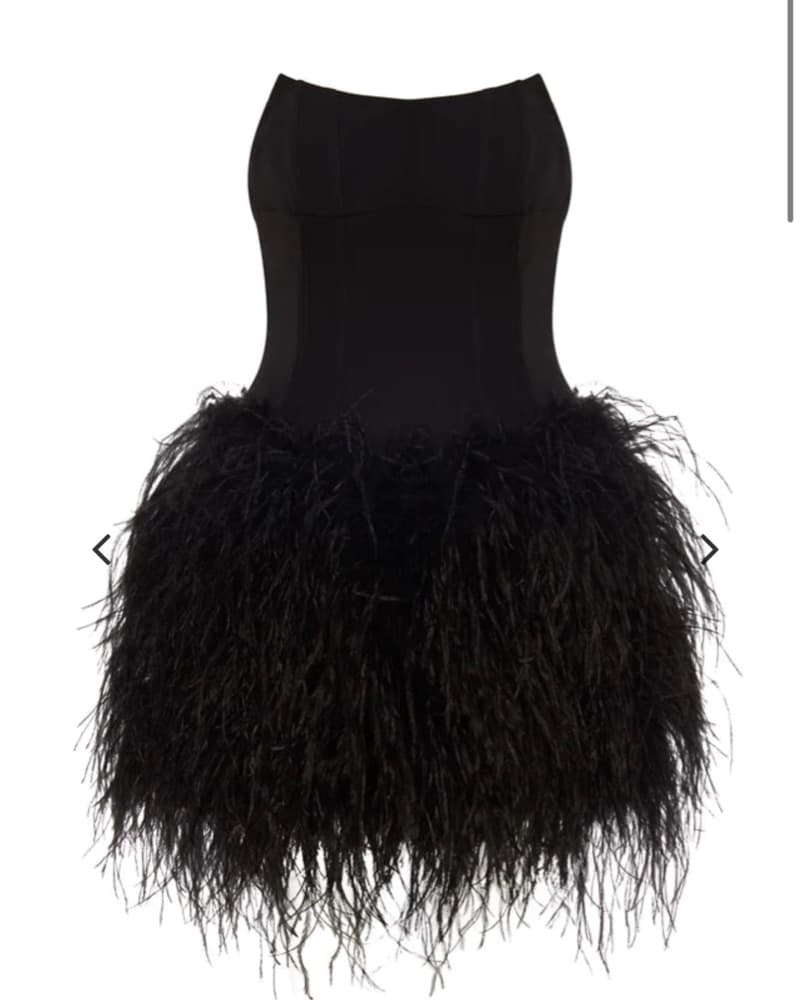 DE LA VALI Feather Mini Dress - Image 4