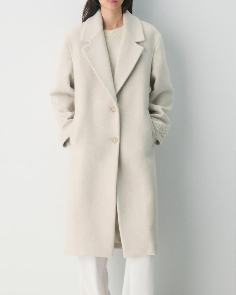 Aritiza Coat - Image 1