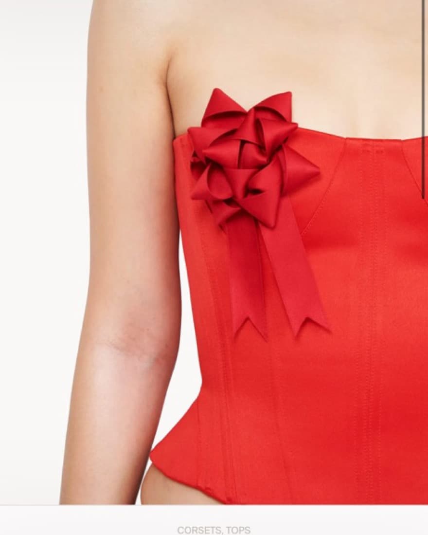 Fanci Club Red Corset  - Image 4