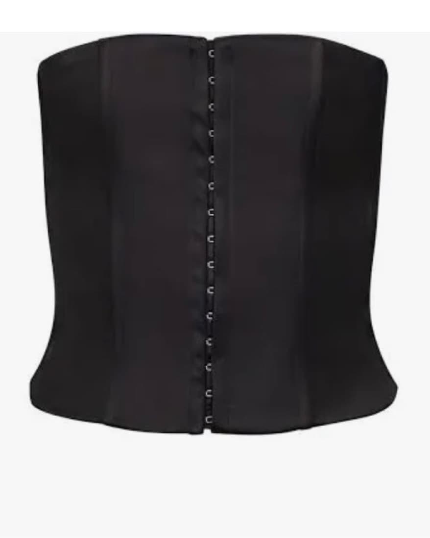 Danielle Guizio Satin Corset - Image 3