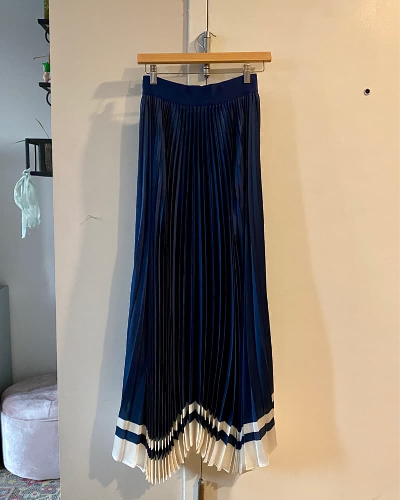 A+O Katz Pleated Sunburst Skirt - Image 5