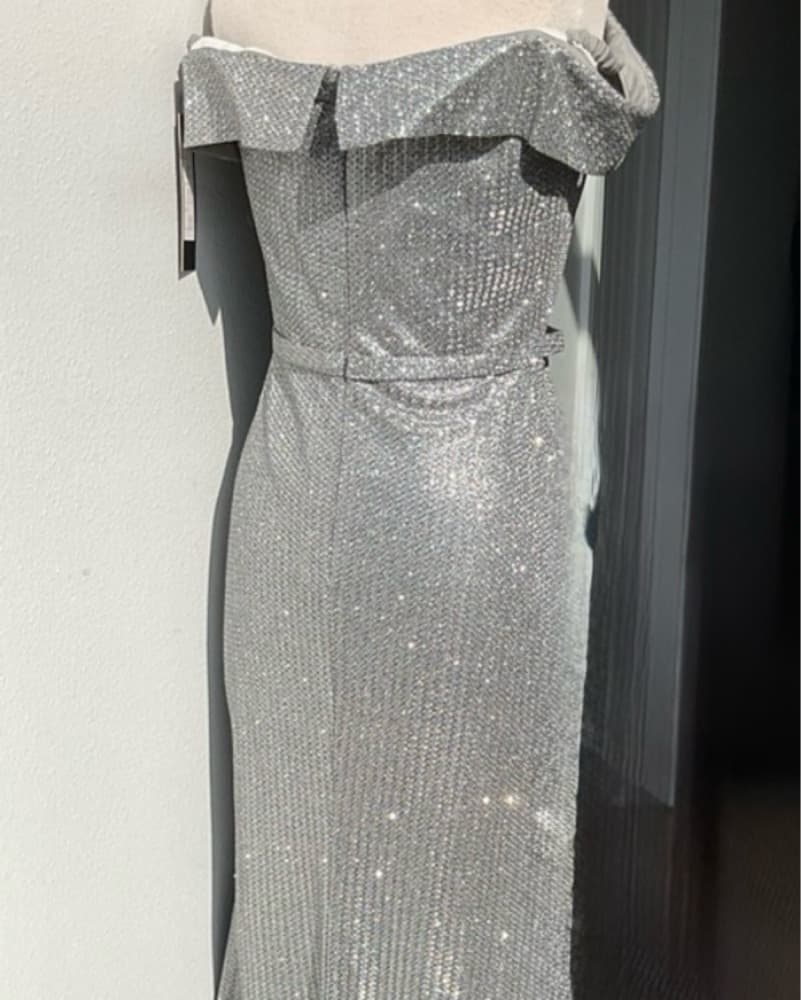 Cinderella Divine Platinum Metallic Gown - Image 3