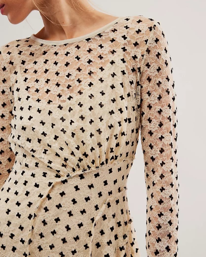 Sheer Delight Mini Dress - Image 4