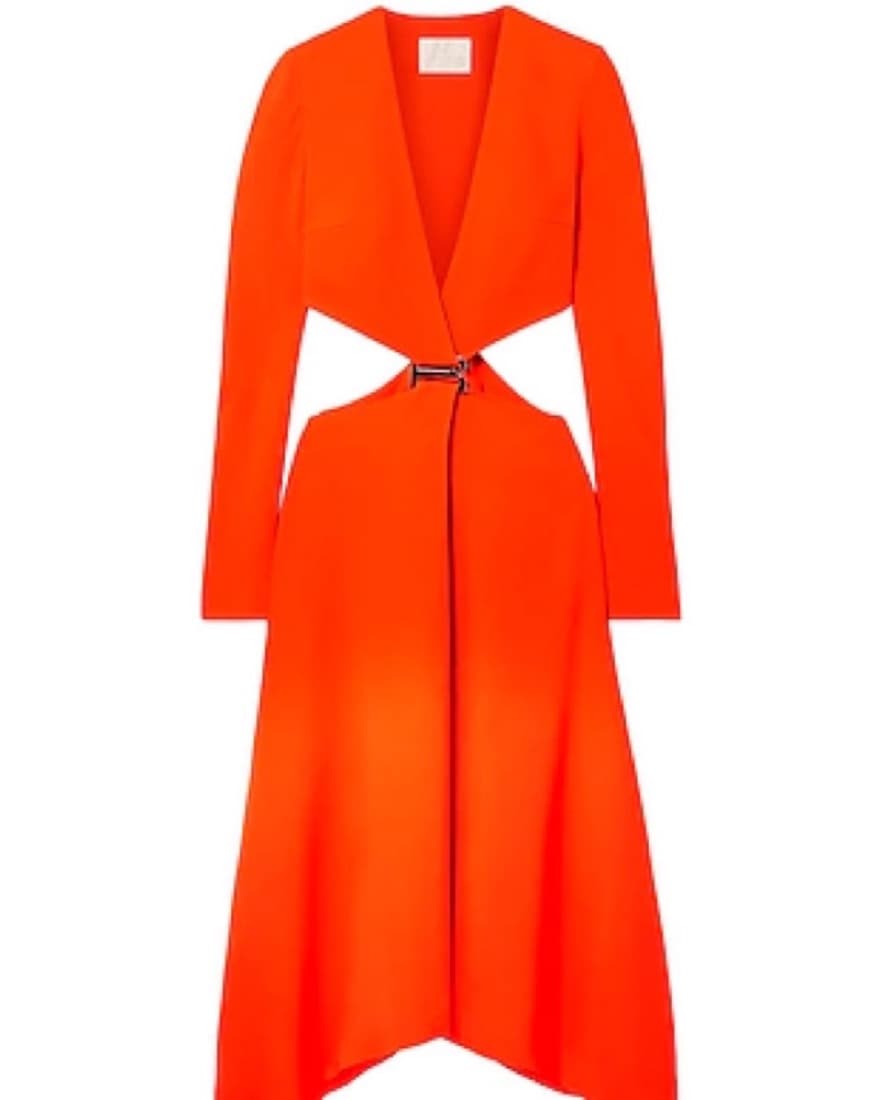 Dion Lee Cut Out Dress - Image 1