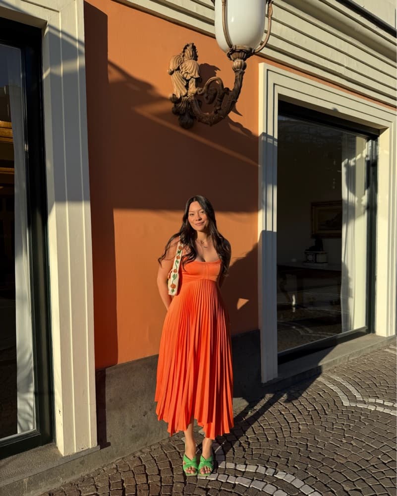 ALC Dress - Image 1