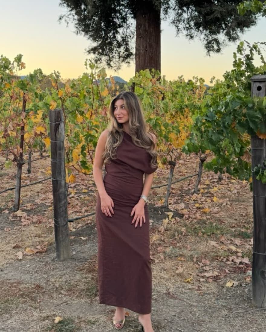Commense Brown Dress - Image 3