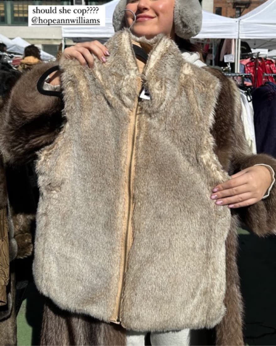 Vintage fur vest - Image 1