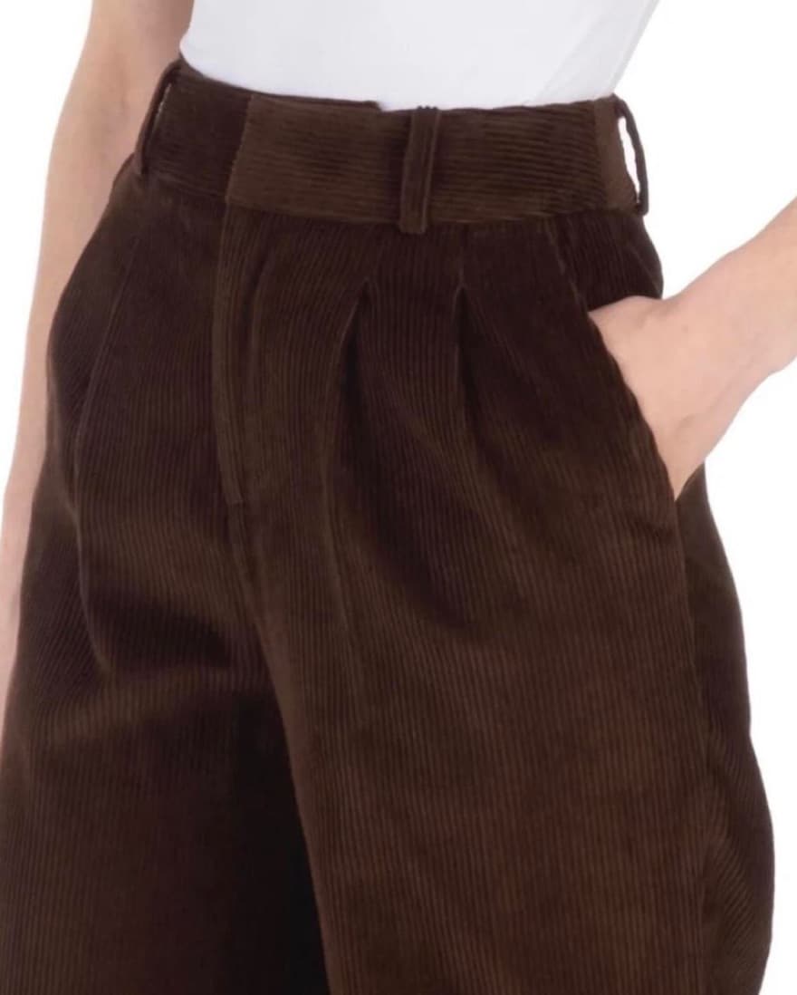 Brown Corduroy Cydnie Jordan Pants - Image 3