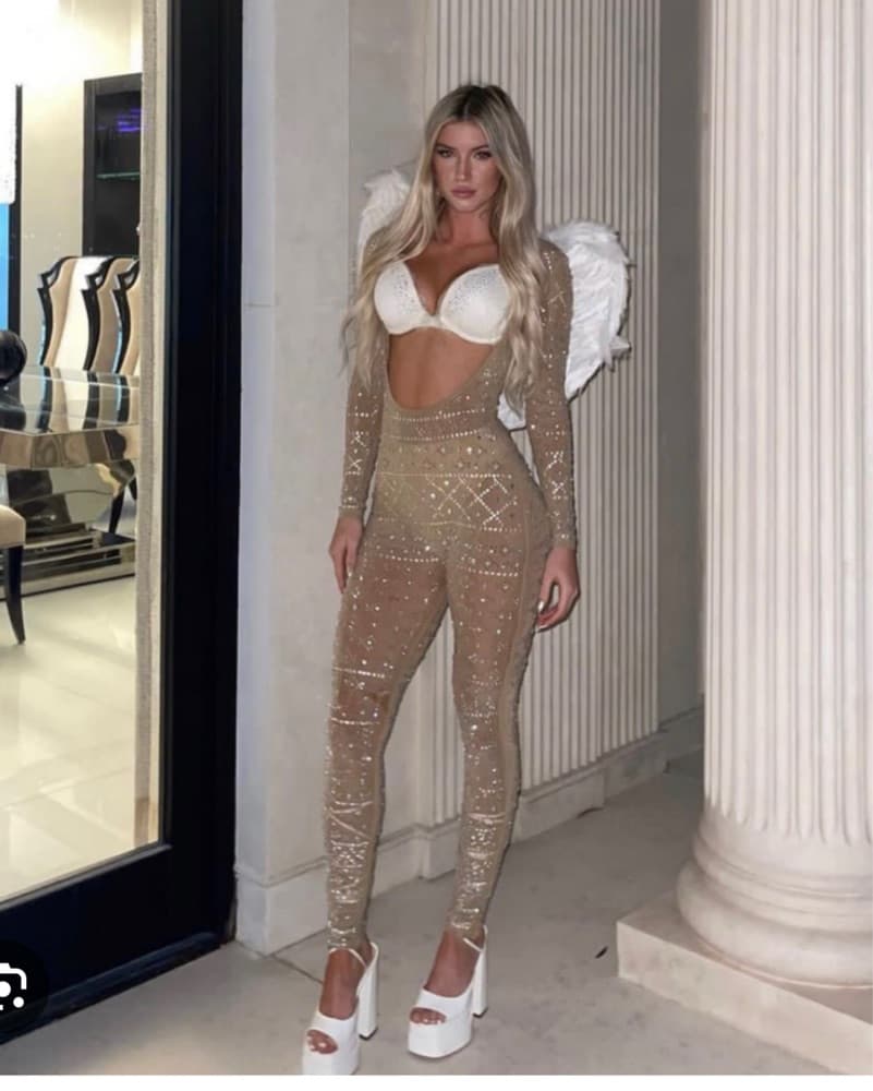  Victorias Secret Inspired Angel Costume - Image 2