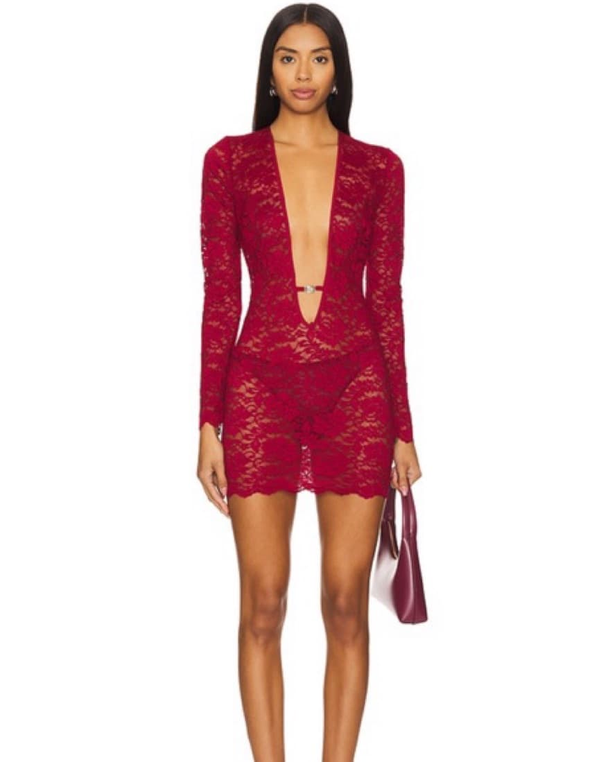 Red Lace Sheer Mini Dress - Image 1