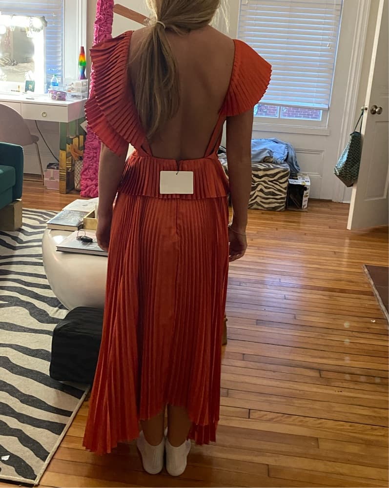 Amur Burnt Orange/Rust Silk Gown - Image 4