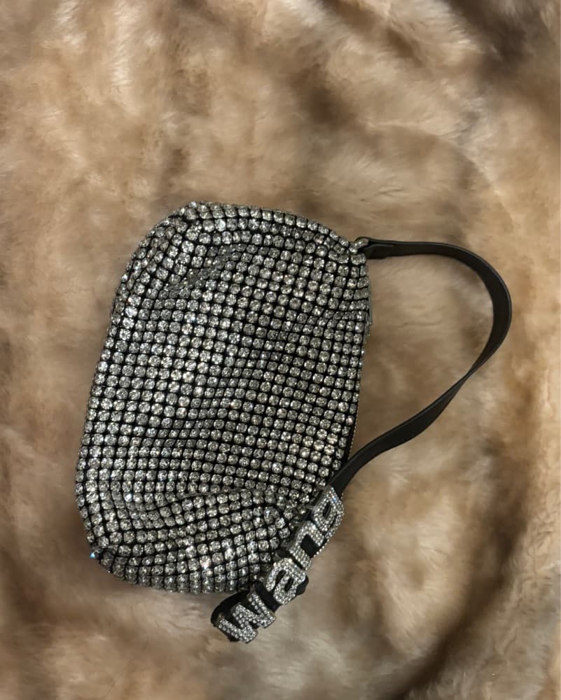 Alexander Wang Rhinestone Bag. - Image 2