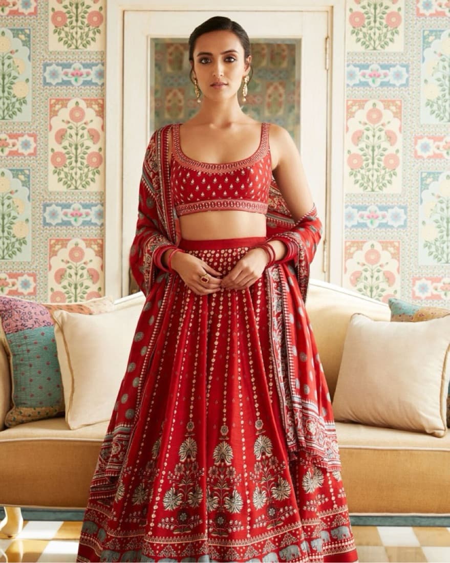 Neysa Red Lehenga - Image 1
