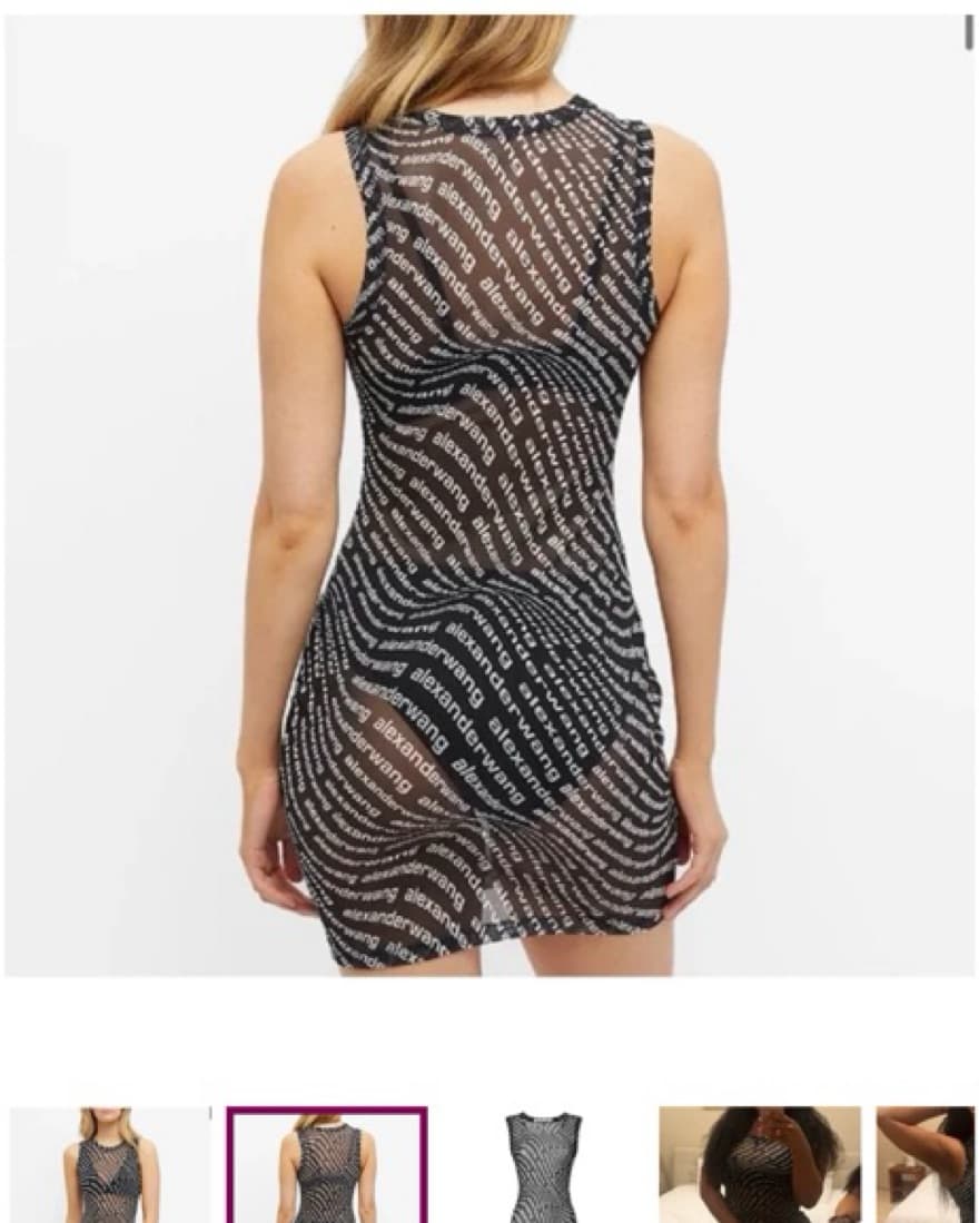 Alexander Wang Sheer Dress - Image 3