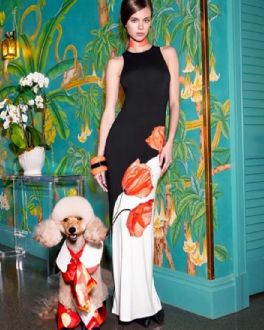 Alice and Olivia Dress - Image 1