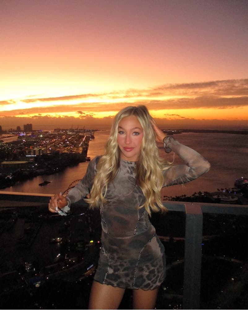 Cheetah Print Mini Dress - Image 2