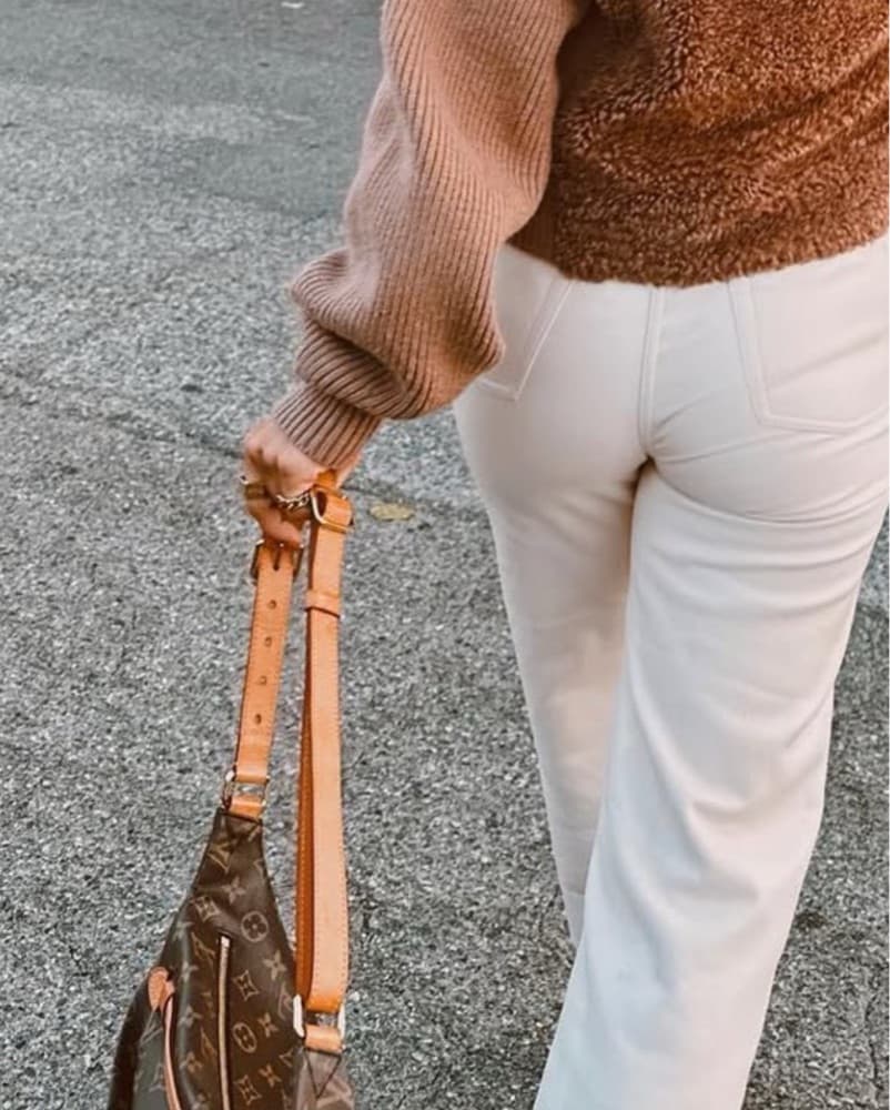 Louis Vuitton Belt Bag - Image 2