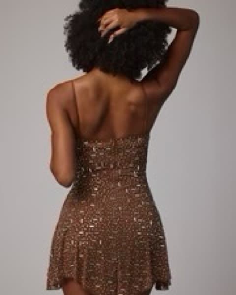 Sparkling Brown Mini Dress - Image 3