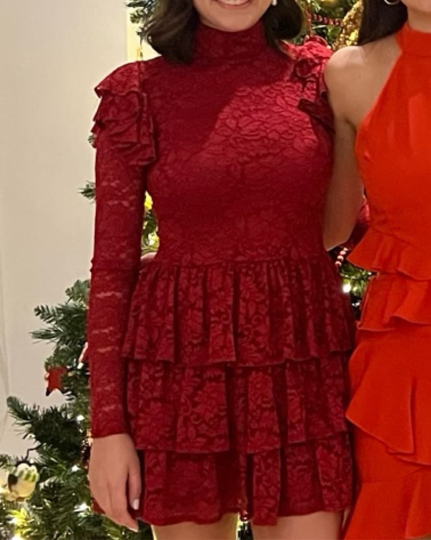 Caroline Costas Red Dress - Image 2