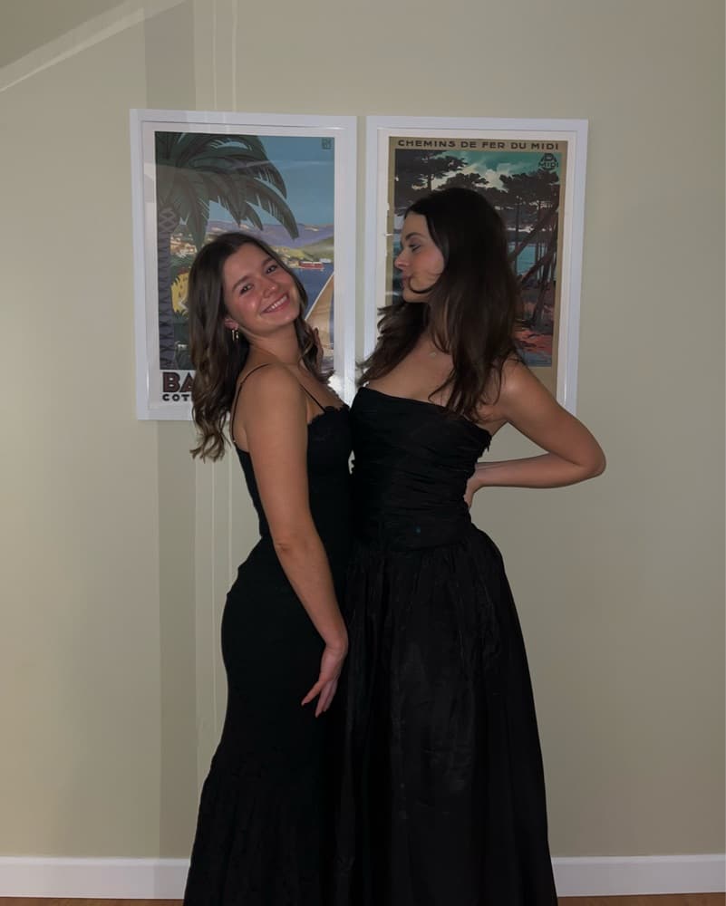 Reformation drop Waist Ballgown - Image 3