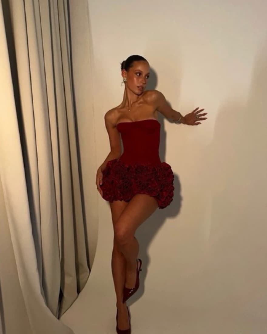Red Roses Corset Mini Dress  - Image 2