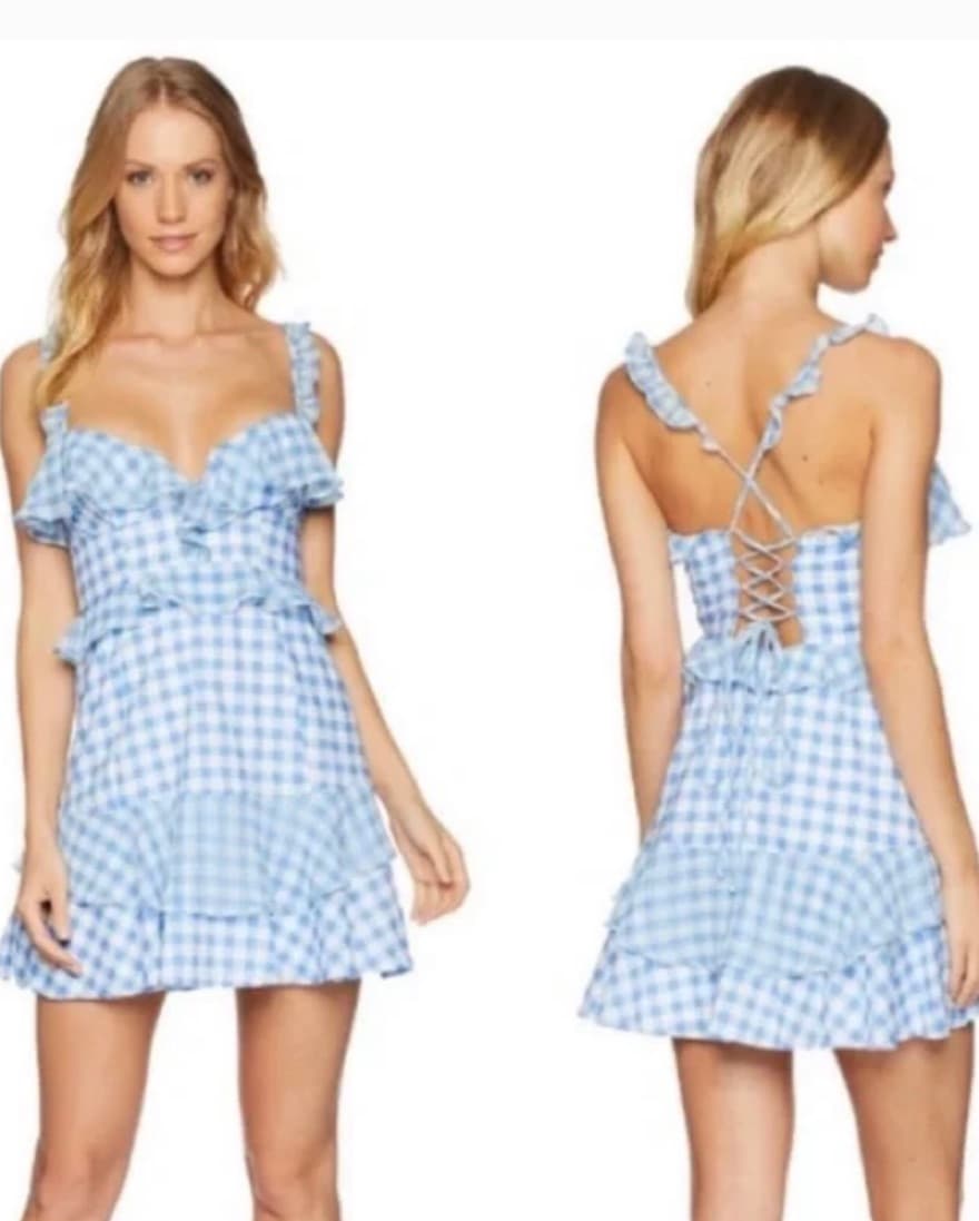 For love And Lemons Gingham Dress - Image 1