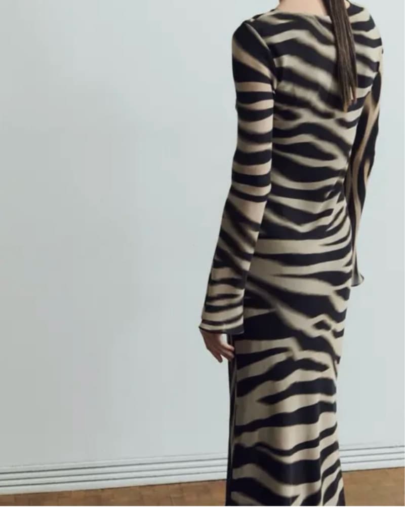 Mango Striped Zebra Dress - Image 1