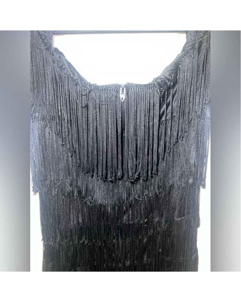Alchemy Joo Mee Vintage Fringe Dress - Image 3
