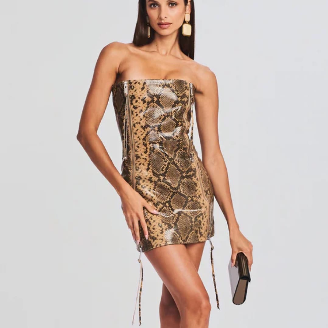 Retrofete Beatrice Leather Dress - Image 1
