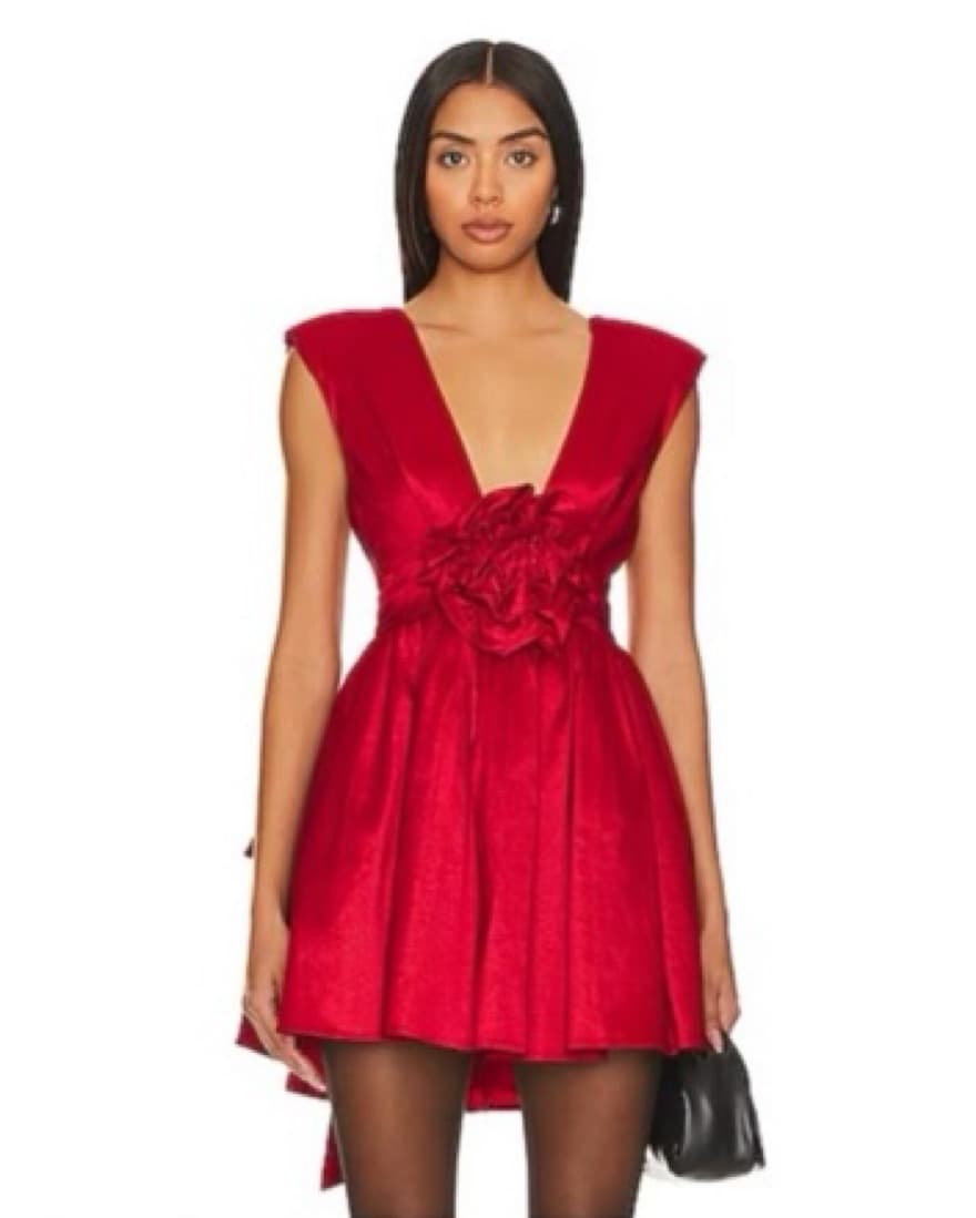 For Love & Lemons Rose Mini Dress - Image 1