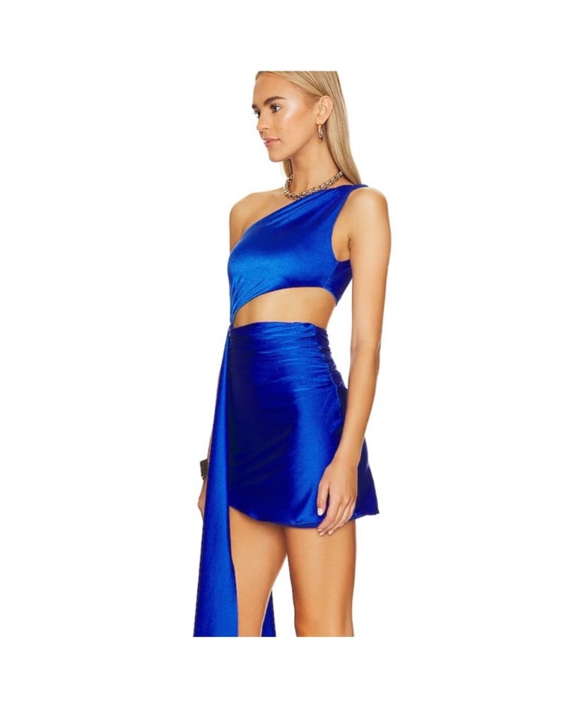 Baobab X Revolve Zadeh Mini Dress - Image 3
