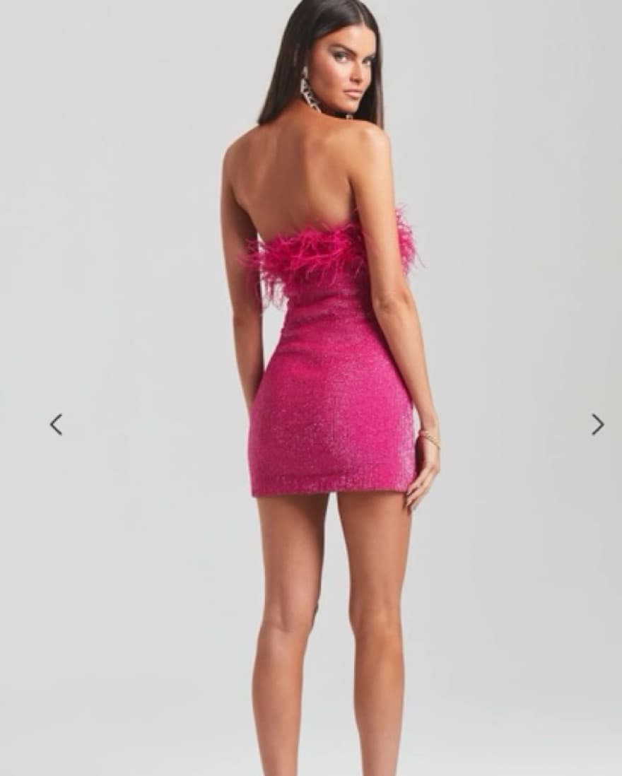 Retrofete Torin Sequin Feather Dress - Image 3