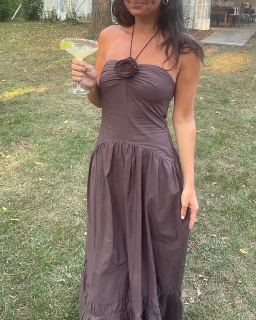 Brown Maxi Zara Dress  - Image 1