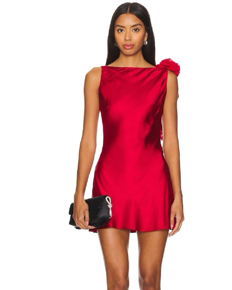 Red Rose Backless Mini Dress - Image 4