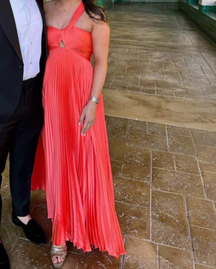 ALC Coral nessa Evening Gown - Image 3
