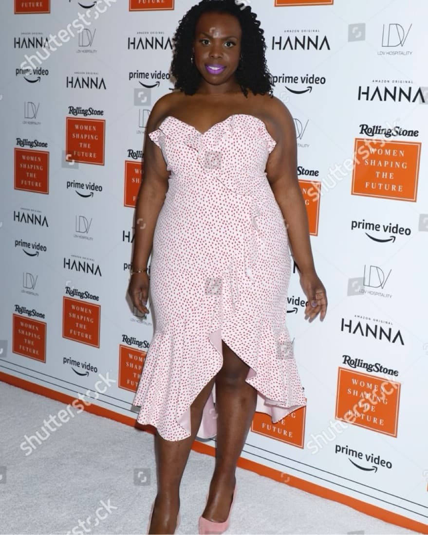 Simkhai Pink Plus Size Ruffle Dress - Image 1