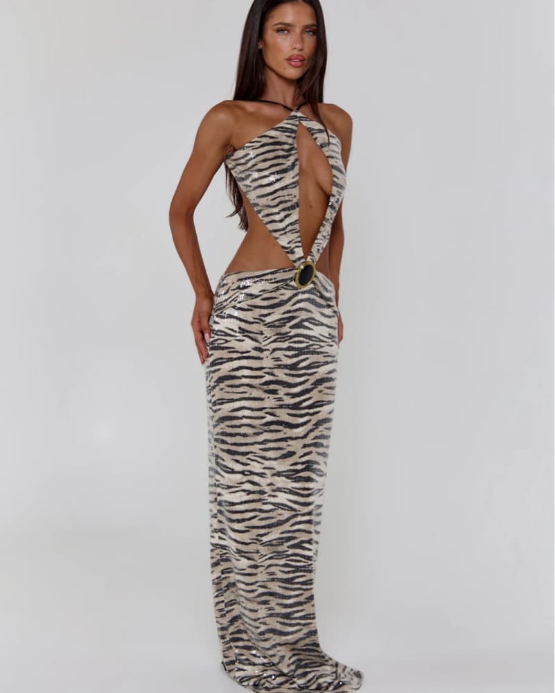 Animal Print Maxi Dress - Image 4