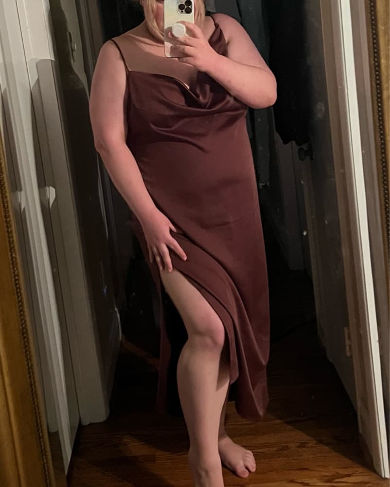BHLDN Brown Satin Charmeuse Midi Dress - Image 4