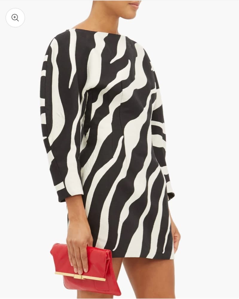 Zebra Mini Dress From Elzinga - Image 3